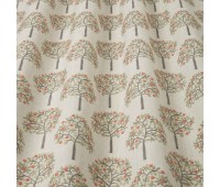Orange Grove Spruce