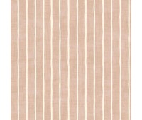 Pencil Stripe Coral