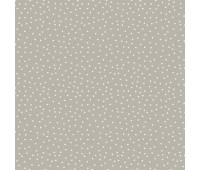 Spotty Dove