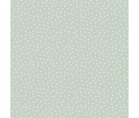 Spotty Duckegg
