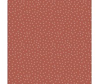 Spotty Gingersnap