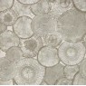 Roslagen Fossil