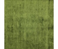 Vallery Olive
