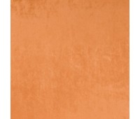 Maury Apricot