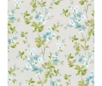 Syringa Aqua