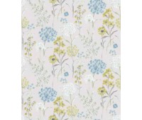 Wildflower Meadow