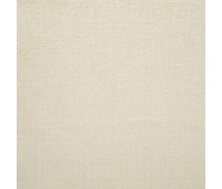 Pallene 023