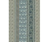 Bangalore Indigo