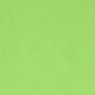 315 Neonelli 32 Olgia Linden
