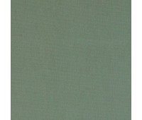 313 Novello 49 Olgia Chinchilla