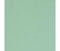 Olgia Rabbit