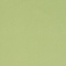 Olgia Straw