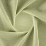 Ketu Olive