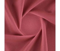 Tyberton Tulip