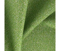 Togo Fern