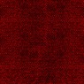 311 Primiero 34 Primiero Sienna