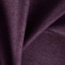Primiero Plum