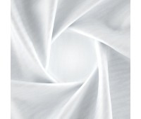 Blazar Ice