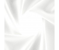 Roanne Ice
