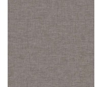 Papyrus 211