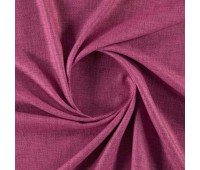 Kistiano Fuchsia