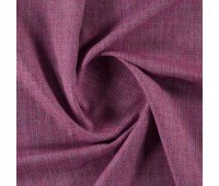 Shanelly Fuchsia
