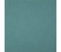 345 Thermic 41 Thermic Mineral