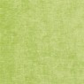 346 Truffle 15 Truffle Lime
