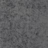 346 Truffle 26 Truffle shark