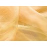 Maris Wheat