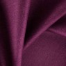 Edge Peony