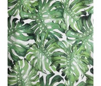 Magic Forest Monstera 11