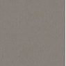 Sunbrella XL Natte 10040 Nature Grey
