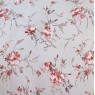 Shiraz Azalea 11