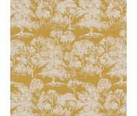 Acacia ochre