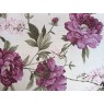 Lilas 6