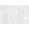 Symphony 0040-V103 07
