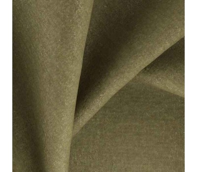 Rupat Moss