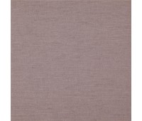 347 Welt 16 Edge Orchid