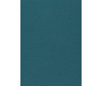 347 Welt 31 Welt Arctic