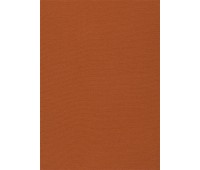 347 Welt 36 Welt Clementine