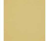 347 Welt 41 Welt Honey