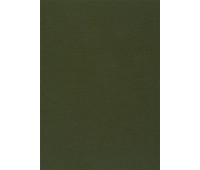 347 Welt 46 Welt Lizard