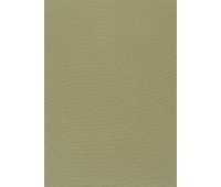 347 Welt 53 Welt Pear