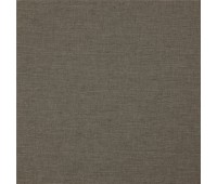 347 Welt 8 Edge Fossil