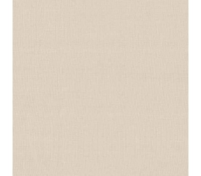 Papyrus 22