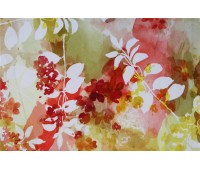 Cotonelo Divine C 01 Cotonelo Divine C 01