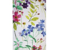 Dolcetto Divine D 05 Dolcetto Divine D 05