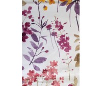 Dolcetto Divine D 21 Dolcetto Divine D 21