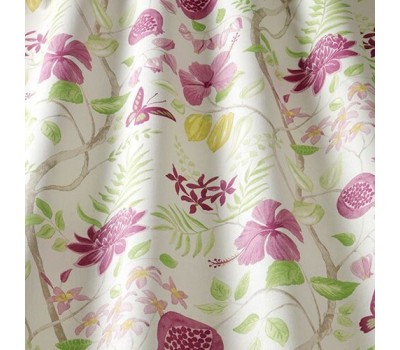 Amazon Fuchsia
